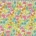 Ananas toucans