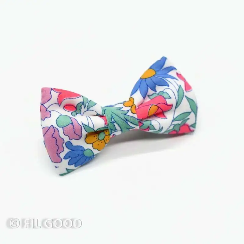 Ananas toucans