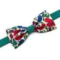 Nœud papillon bicolore slim Liberty Poppy and Daisy canard