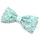Nœud papillon bicolore MEDIUM Liberty Betsy Ann mint