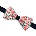 Nœud papillon bicolore MEDIUM Liberty Wiltshire pois de senteur