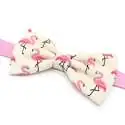 Noeud papillon Flamant rose