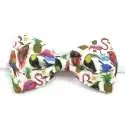 Nœud papillon simple large Liberty Birds of paradise A
