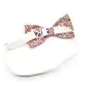 Nœud papillon simple MEDIUM Liberty Eloise fraise