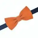 Noeud papillon Liberty sur commande