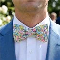 Liberty Emma and Georgina Pink Yellow Blue Pink Bow Tie